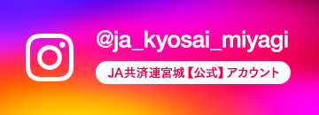 インスグラムはこちら！